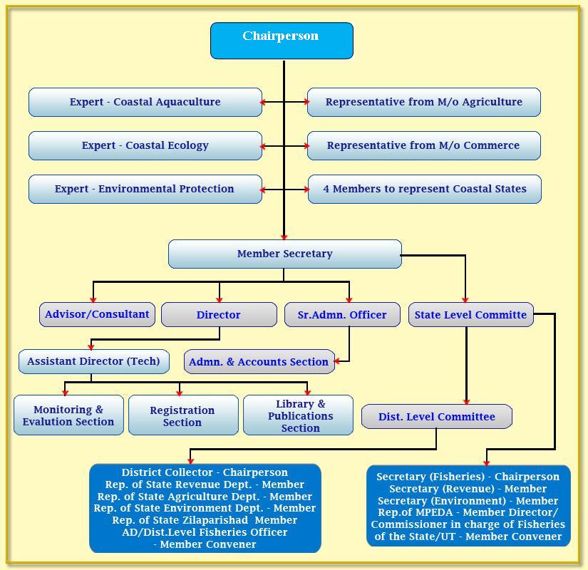 CAA organisation Chart